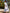 White Embroidered Linen Maxi Dress – Balloon Sleeves | ZALXNDRA
