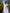 White Embroidered Linen Maxi Dress – Balloon Sleeves | ZALXNDRA
